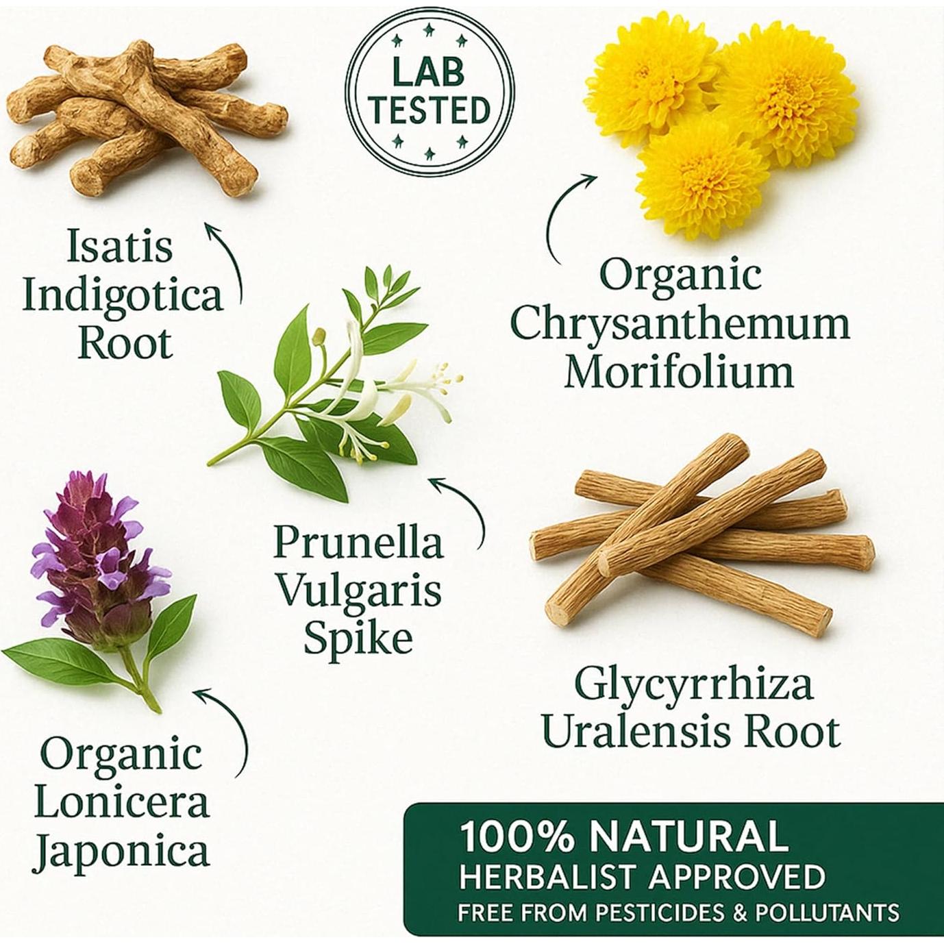 Bolsitas de Té Herbal Herb Guru Cool Down - 24.99g Sin Cafeína