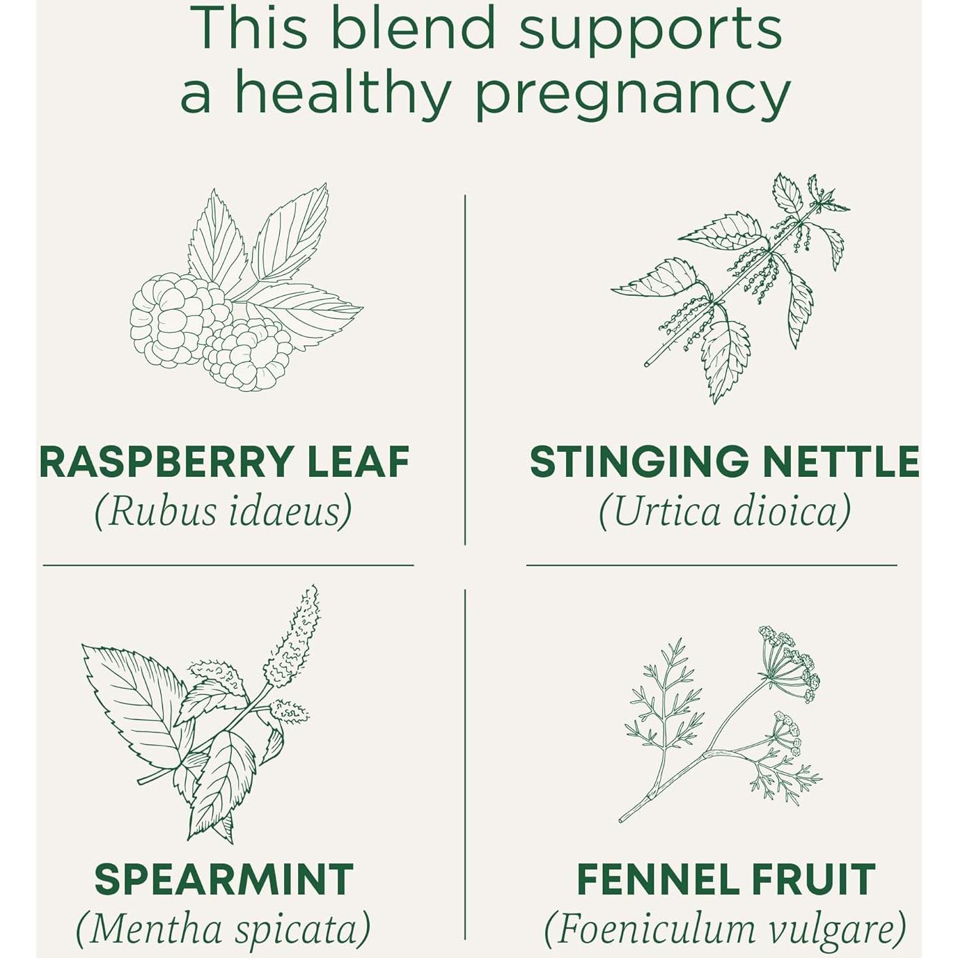 Té Orgánico para Embarazo Tradicional 96 Bolsitas - Sin Cafeína