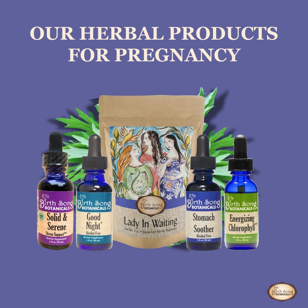 Té de Embarazo Lady in Waiting Birth Song Botanicals 40 Porciones