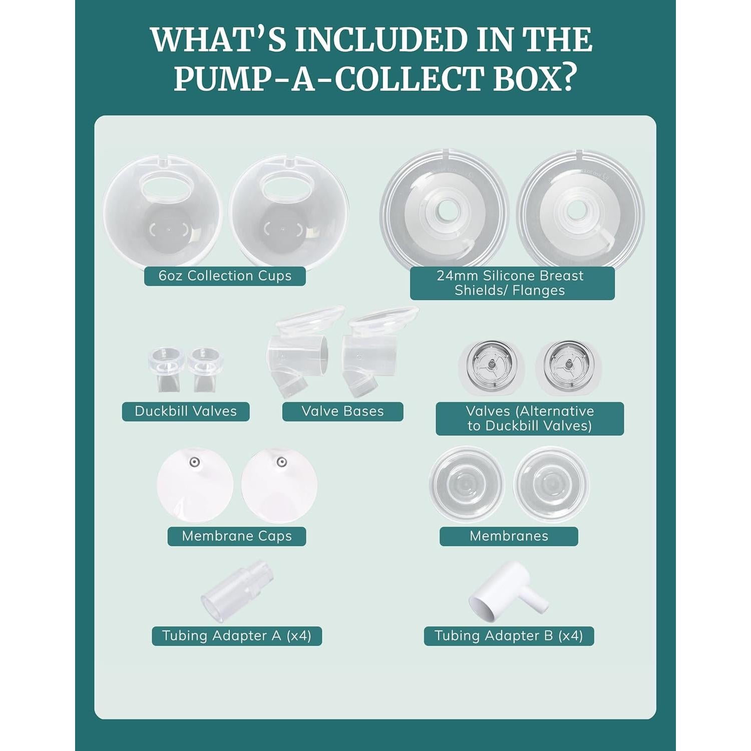 Copas de Recolección de Leche Materna Idaho Jones 24mm