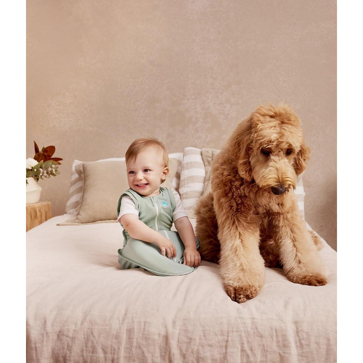 Bolsa de Transición Swaddle Up Love to Dream - Oliva L (8.5-11kg)