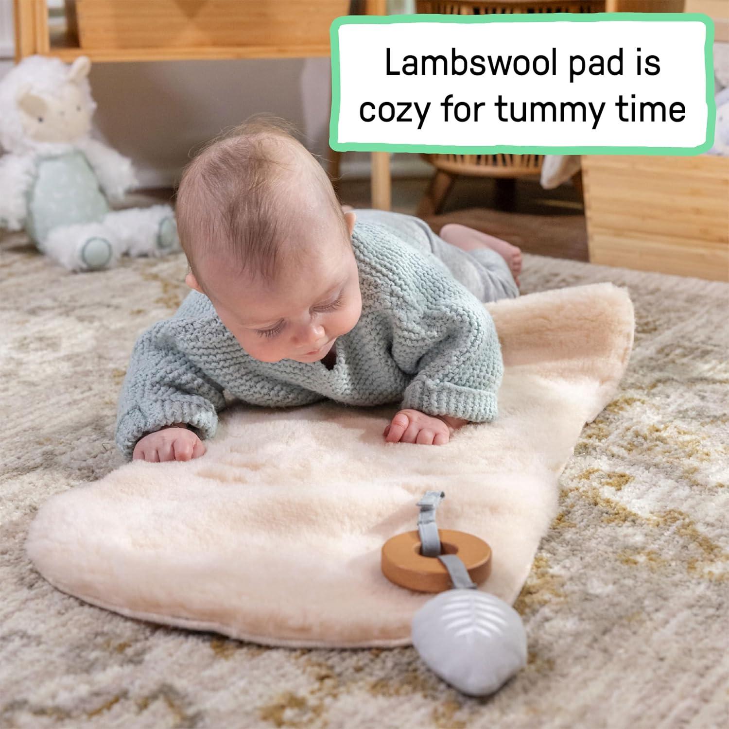 Asiento Balanceador 2-en-1 Ingenuidad Cada Temporada - Gris