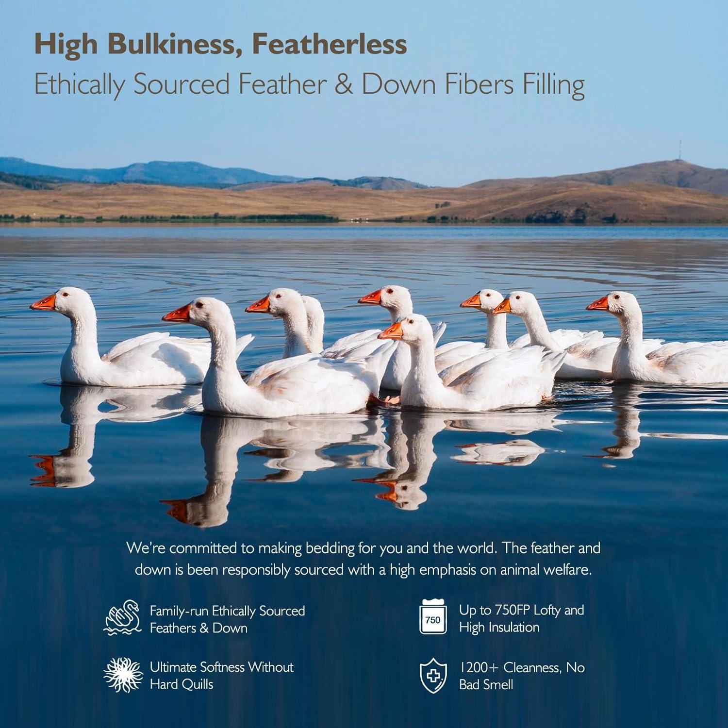 Edredón de Plumas King Cobnom 1200TC Algodón Blanco 304.8x248.9cm