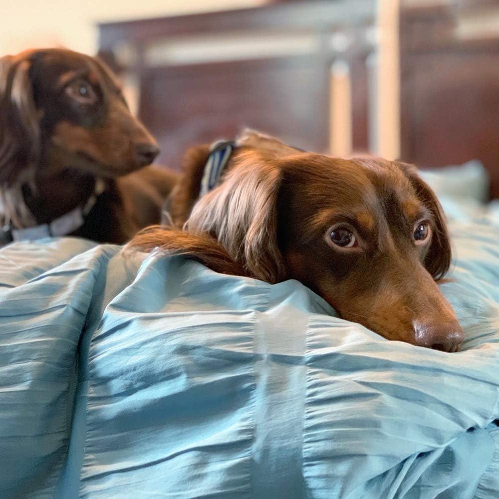 Conjunto de Edredón King SLEEP ZONE 3 Piezas Microfibra Azul