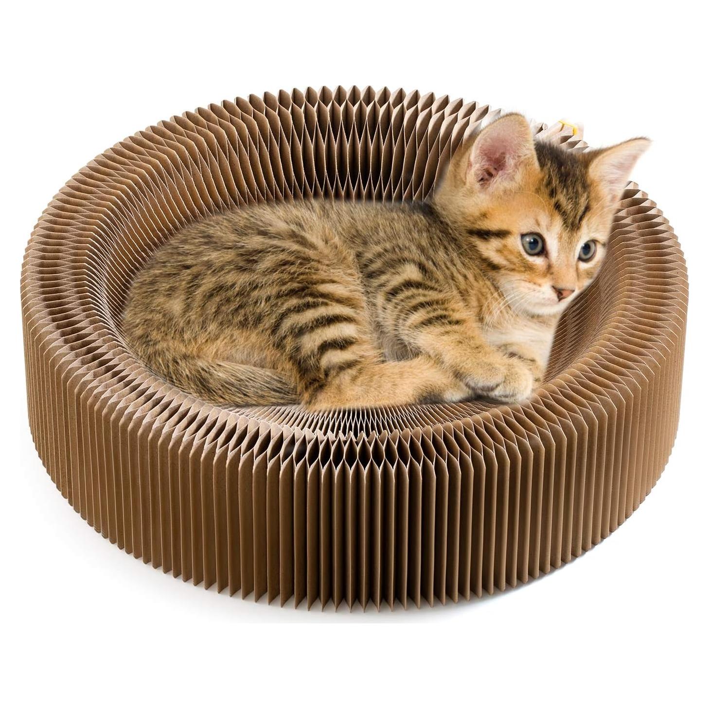 Rascador de Gato Plegable Rainbow Color - Cama y Almohadilla 50.8 cm
