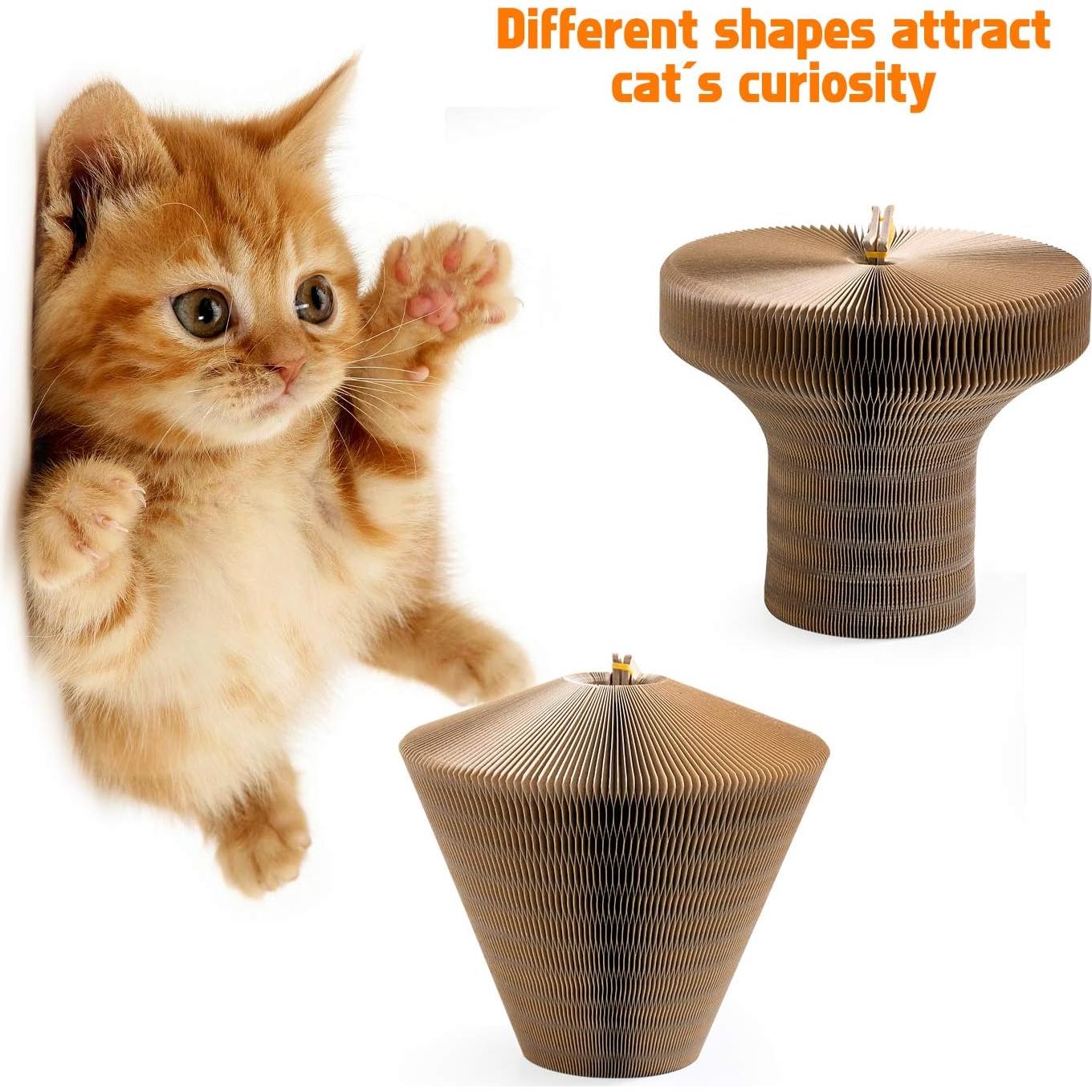 Rascador de Gato Plegable Rainbow Color - Cama y Almohadilla 50.8 cm