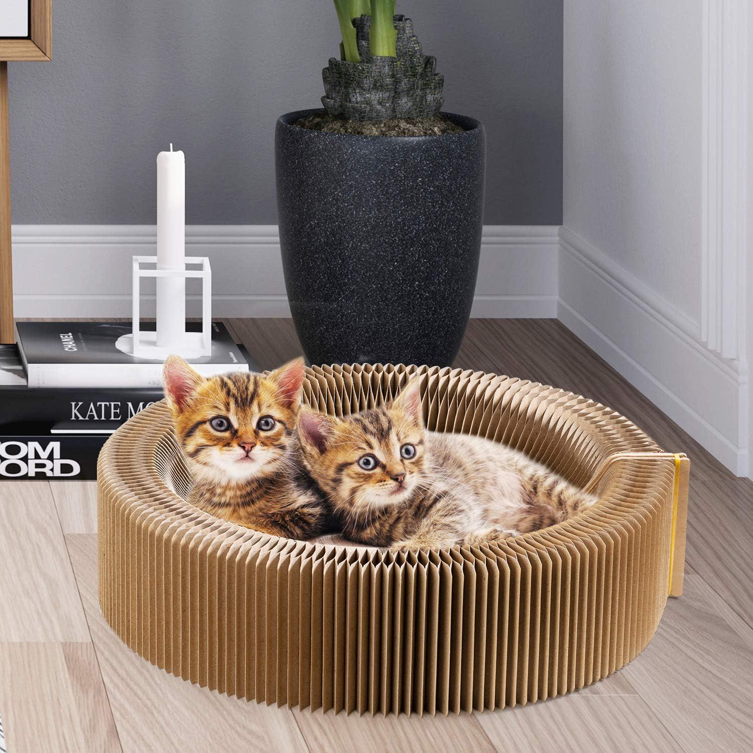 Rascador de Gato Plegable Rainbow Color - Cama y Almohadilla 50.8 cm