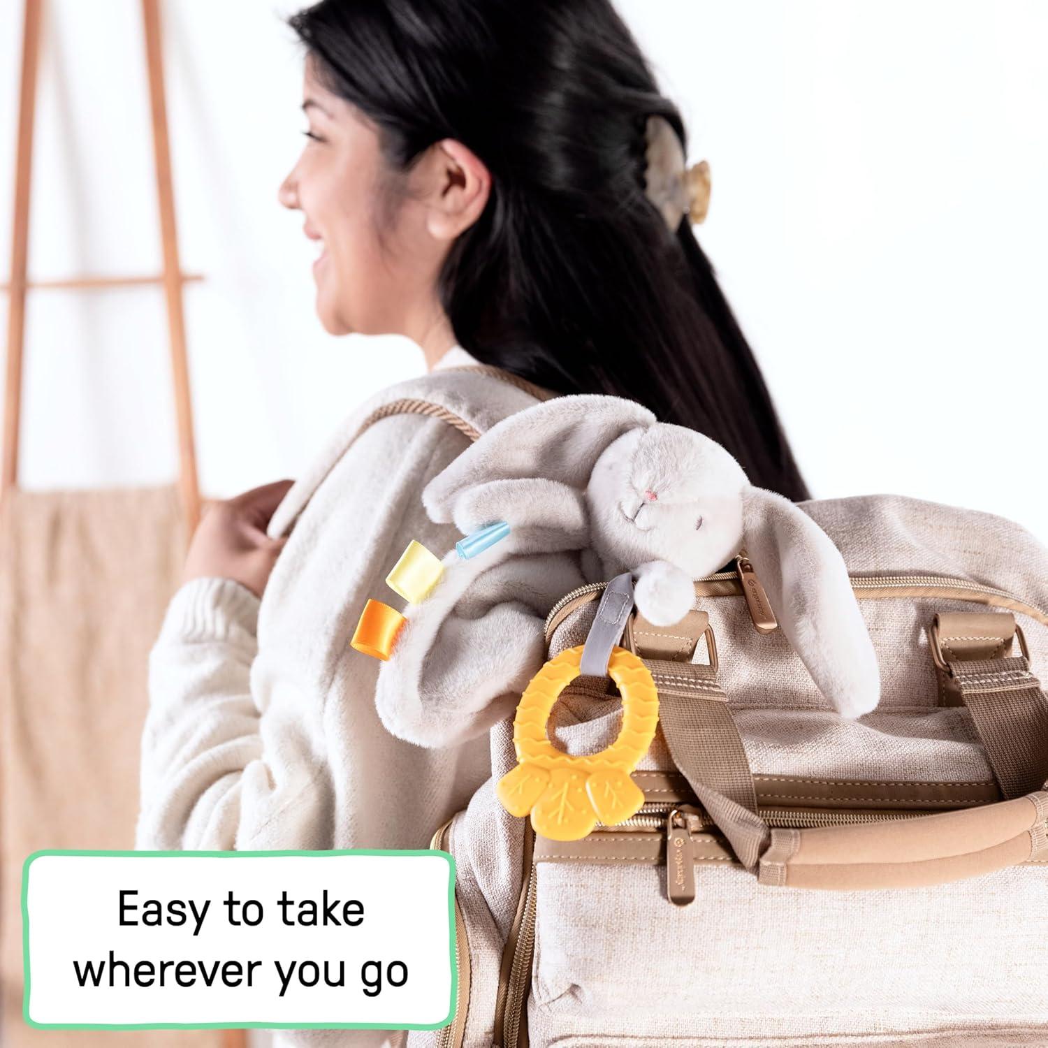 Ingenuity Sylvi Conejito de Peluche y Mordedor 0M+