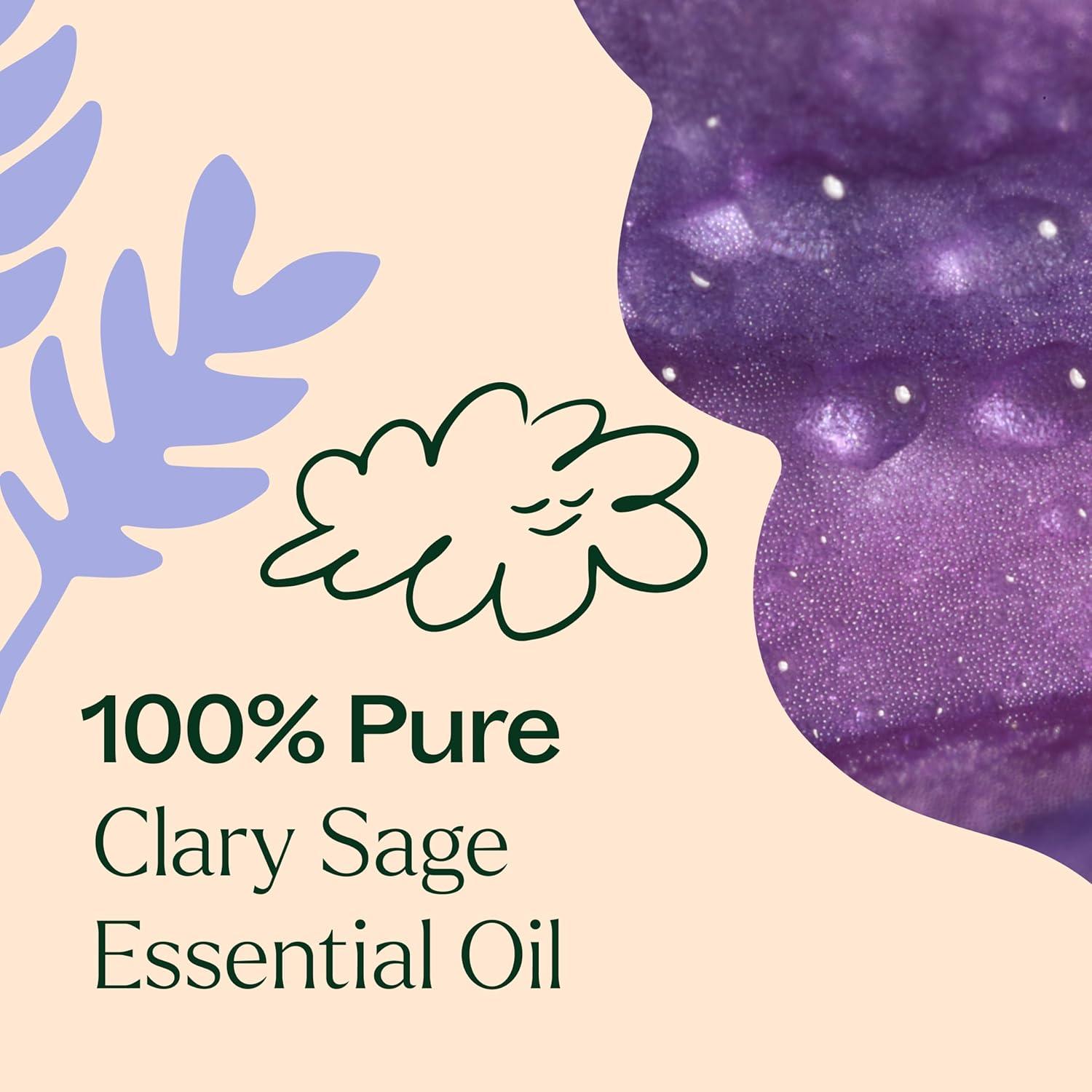 Aceite Esencial de Salvia Clary 100% Puro 10 mL - Plant Therapy