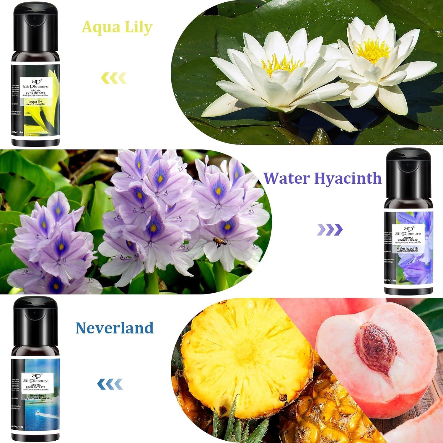 Set de Aceites Esenciales Reborn ap airpleasure - 6x15ml Aromaterapia