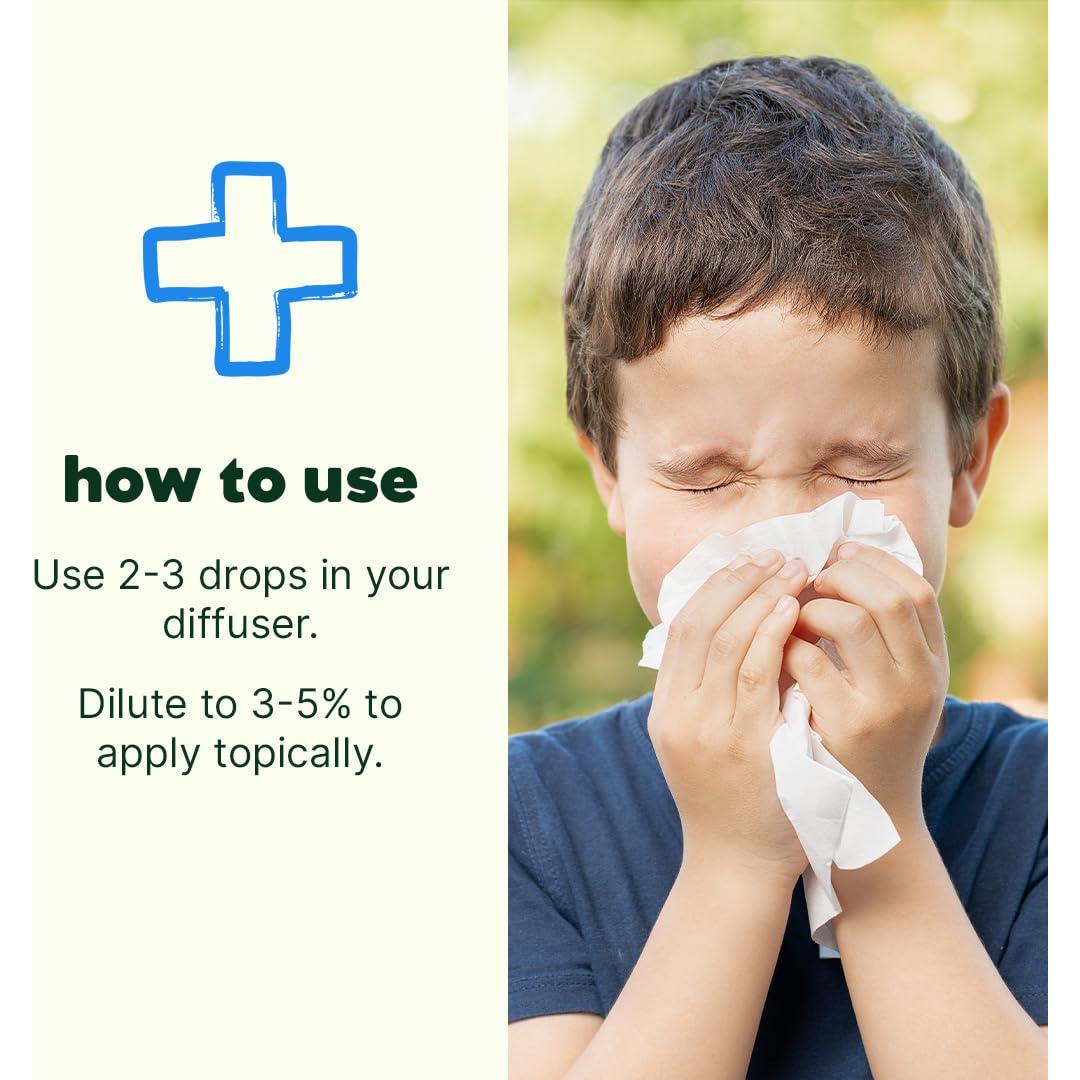 Plant Therapy KidSafe Sniffle Stopper Essential Oil Blend 10 mL (1/3 oz) Respiratory Support Blend 100% Pure, Undiluted, Natural Aromatherapy, Therapeutic Grade