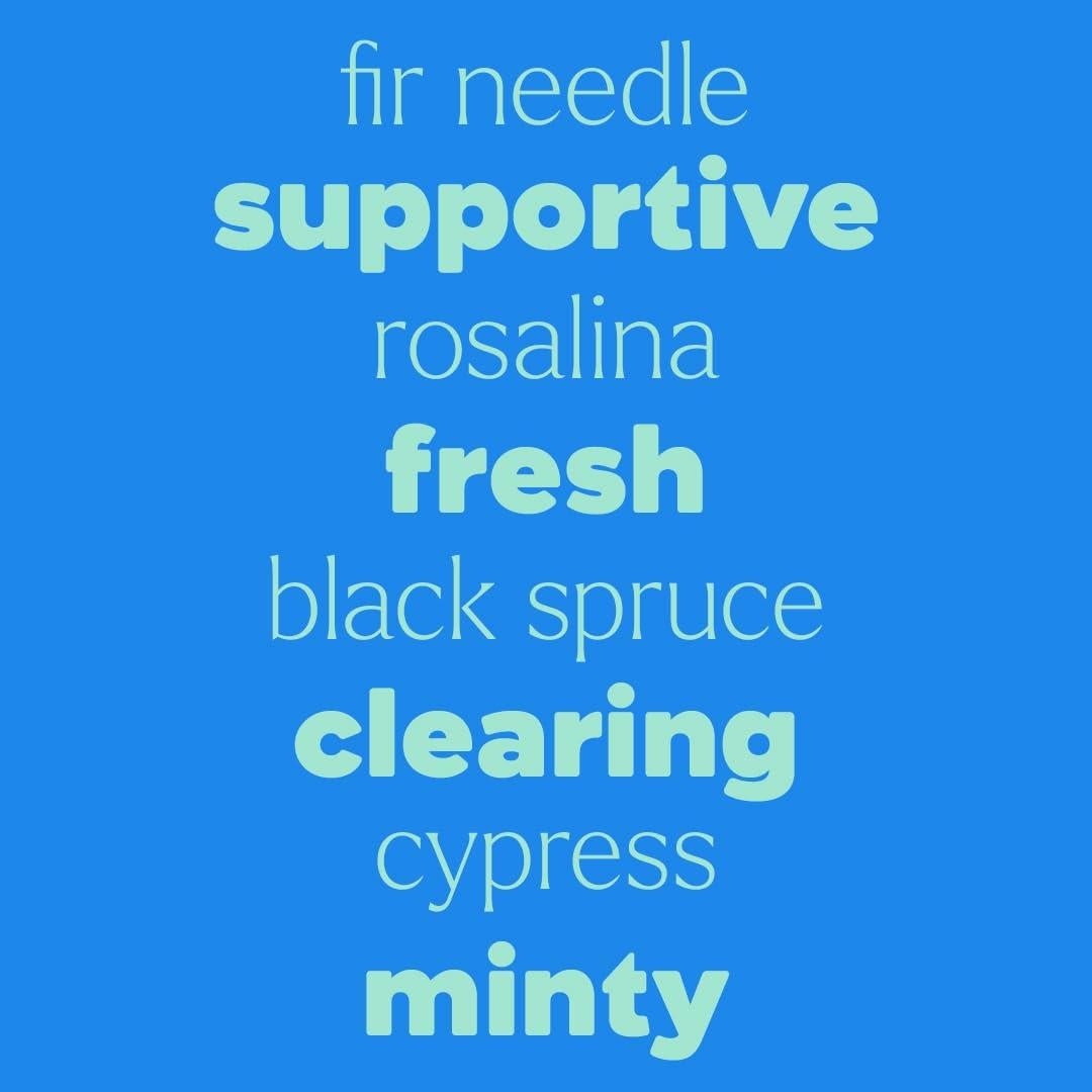 Plant Therapy KidSafe Sniffle Stopper Essential Oil Blend 10 mL (1/3 oz) Respiratory Support Blend 100% Pure, Undiluted, Natural Aromatherapy, Therapeutic Grade