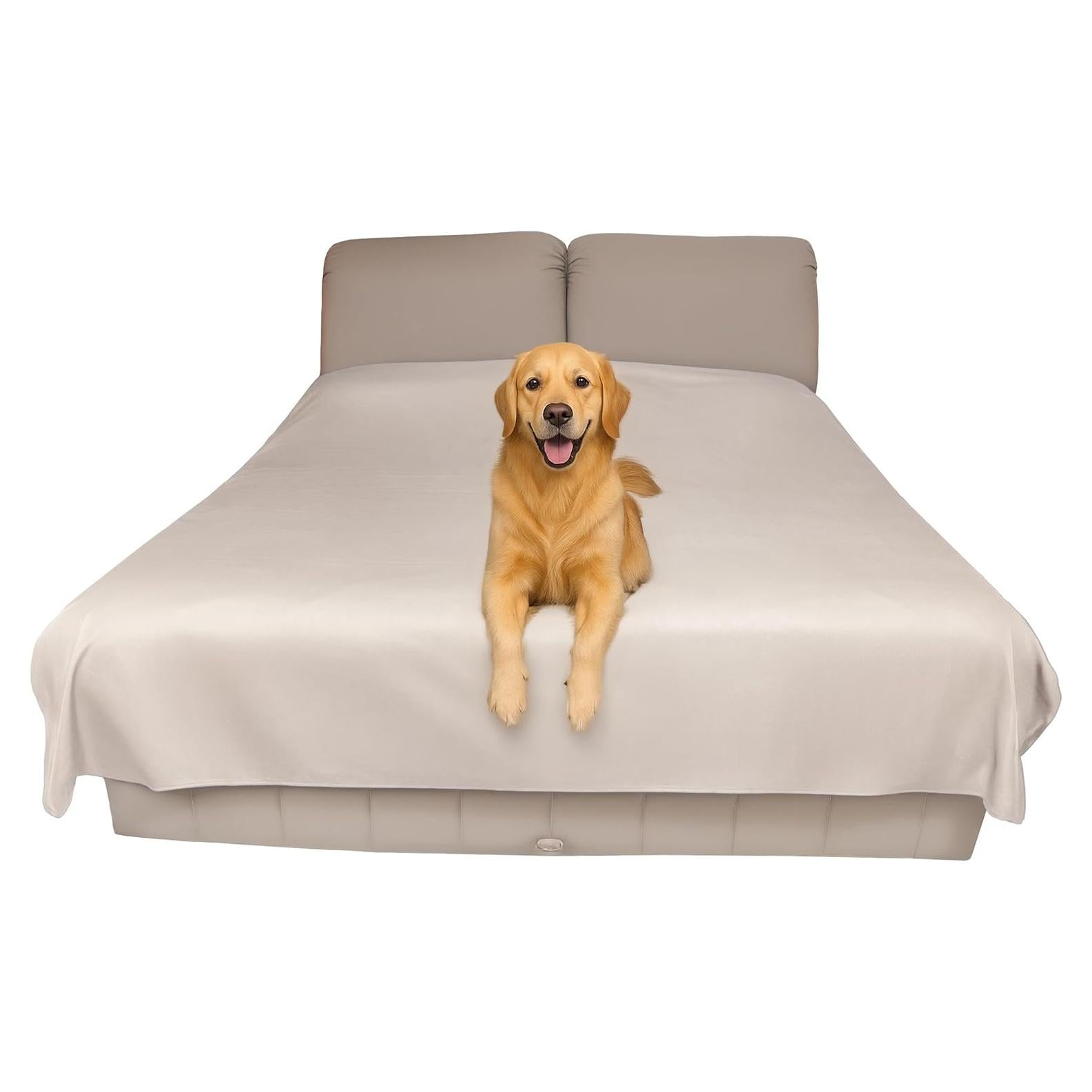 Funda Protectora Impermeable Reversible SILLY LEGACY Queen