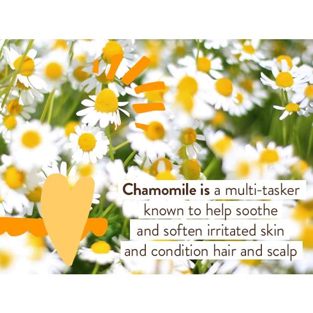 Champú y Lavado Sensible Babo Botanicals 473ml Sin Fragancia