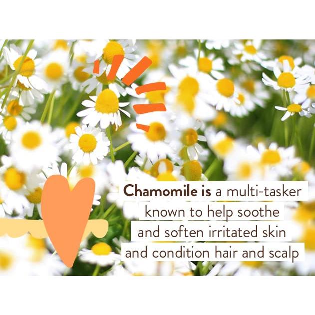 Baño de Burbujas y Lavado 2-en-1 Babo Botanicals 425g