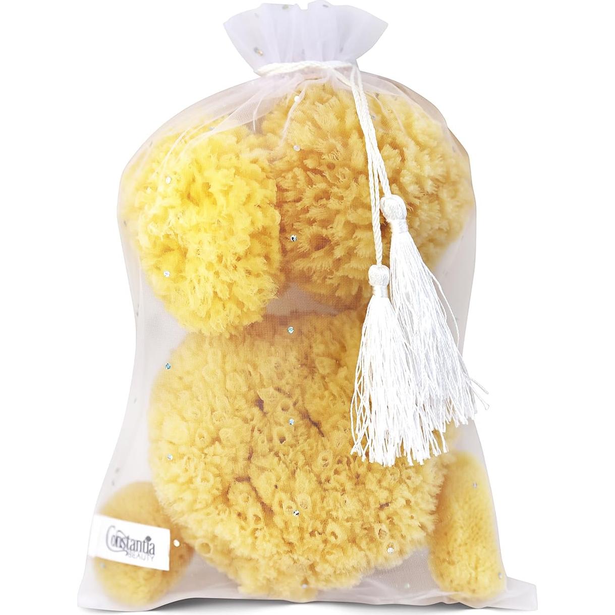 Esponjas Marinas Naturales Constantia Beauty - Set de 5 Piezas