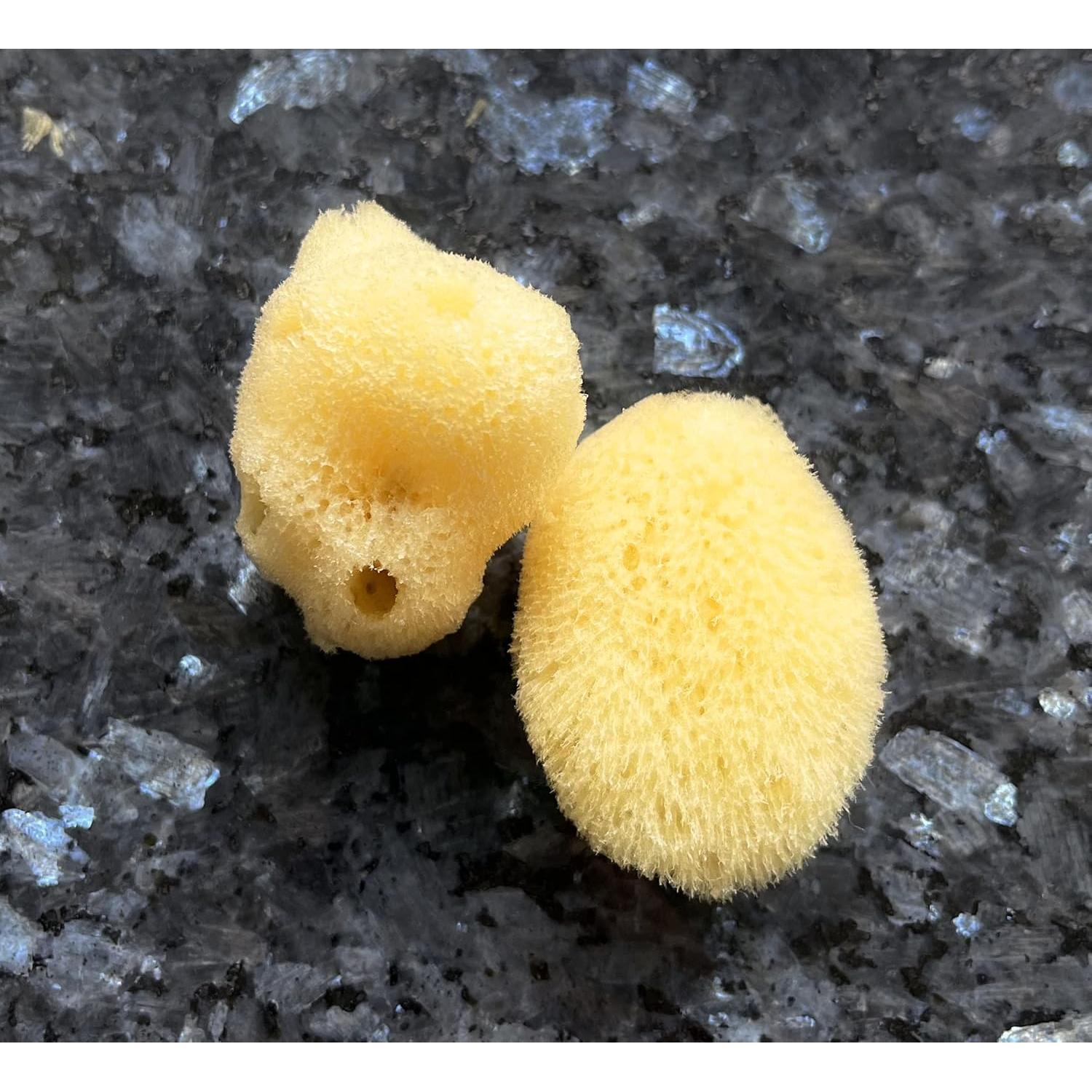 Esponjas Marinas Naturales Constantia Beauty - Set de 5 Piezas