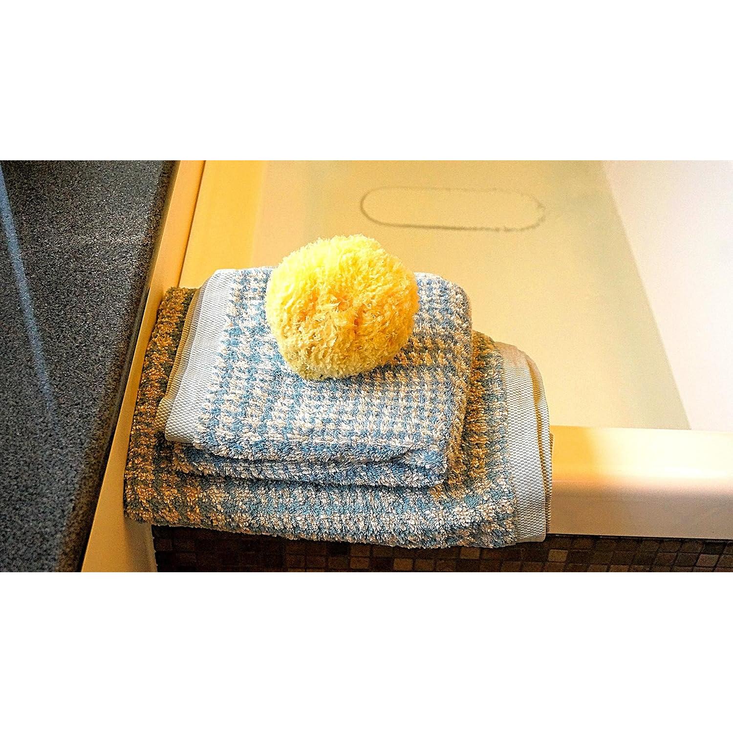 Esponja de Mar Natural Paradise Goods 12.7 cm Suave y Áspera