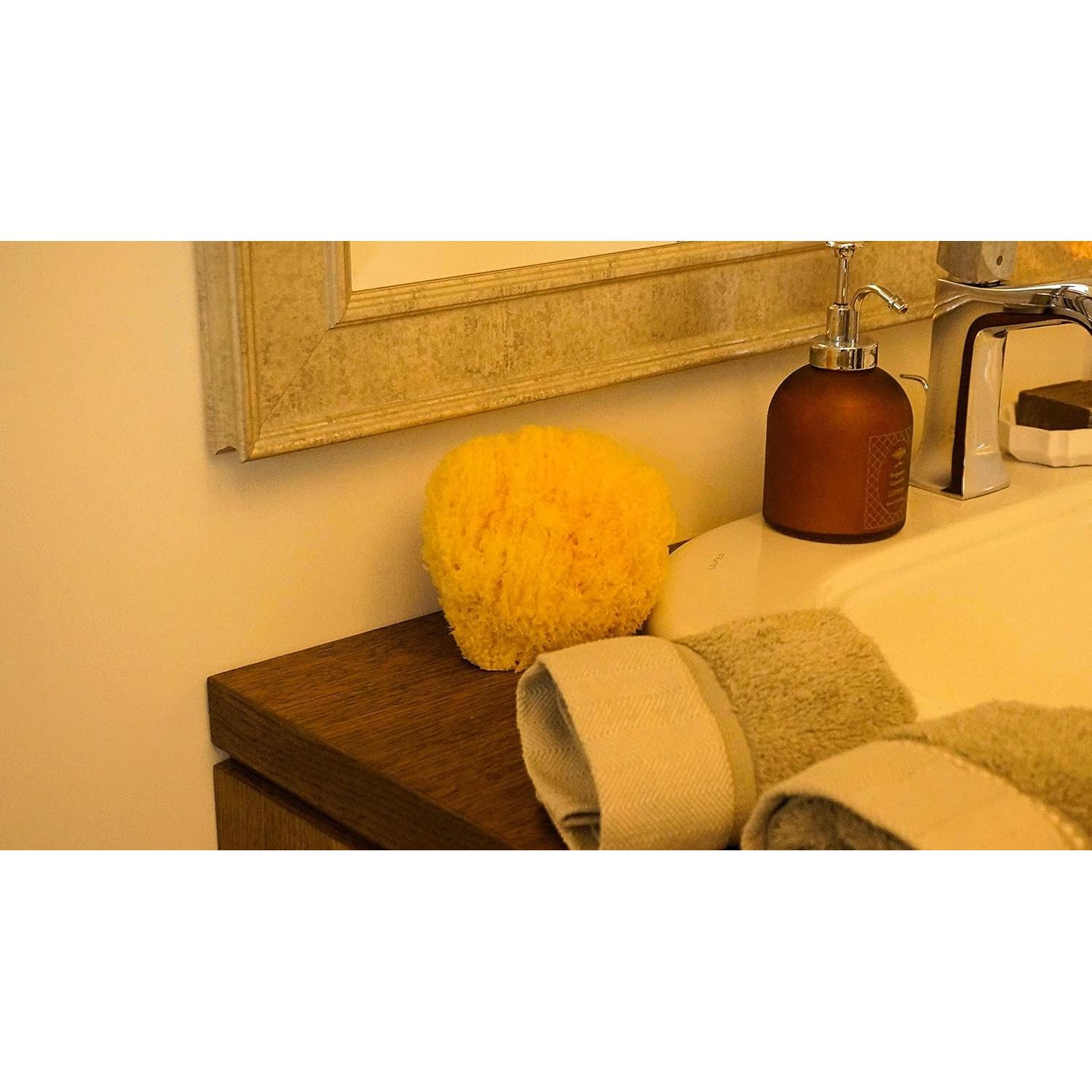 Esponja de Mar Natural Paradise Goods 12.7 cm Suave y Áspera