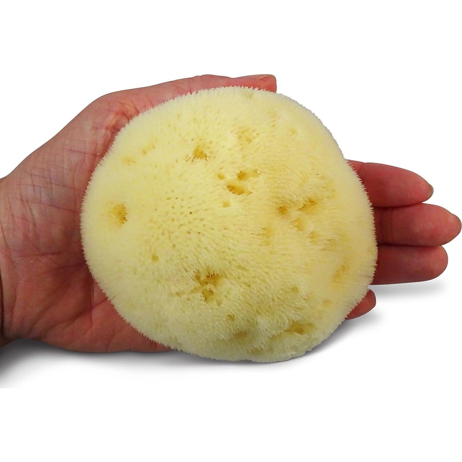 Esponja de Seda Fina Natural para Bebés Contented Infant 10-11cm