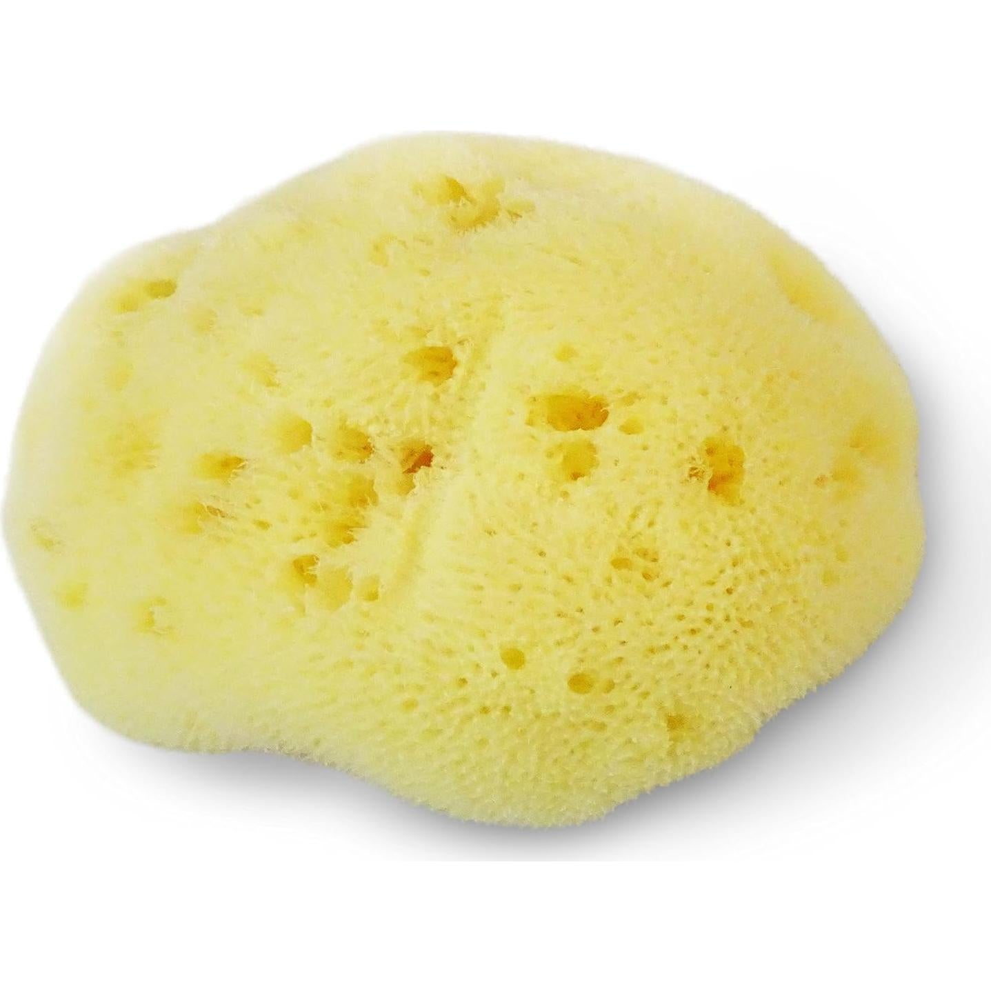 Esponja de Seda Fina Natural para Bebés Contented Infant 10-11cm