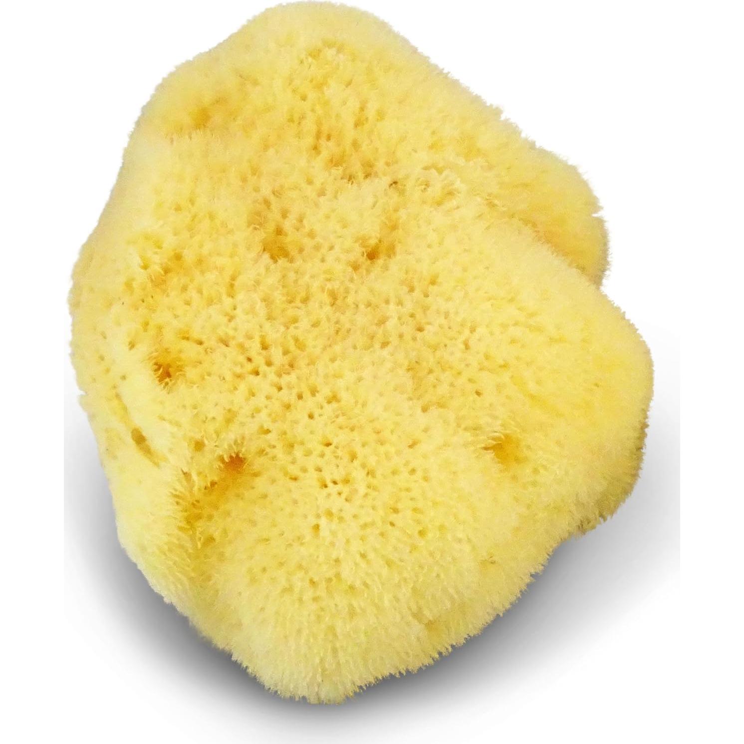 Esponja de Seda Fina Natural para Bebés Contented Infant 10-11cm