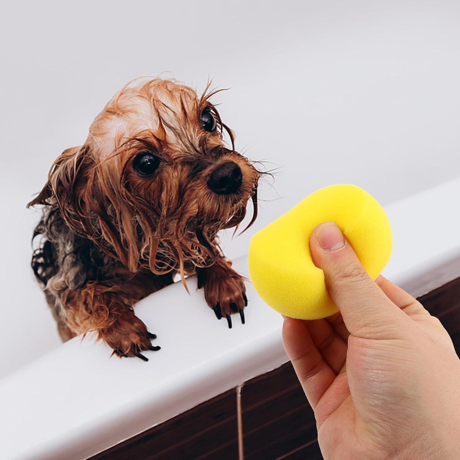 5 Esponjas de Baño para Mascotas Ipetboom Amarillo 7x7cm