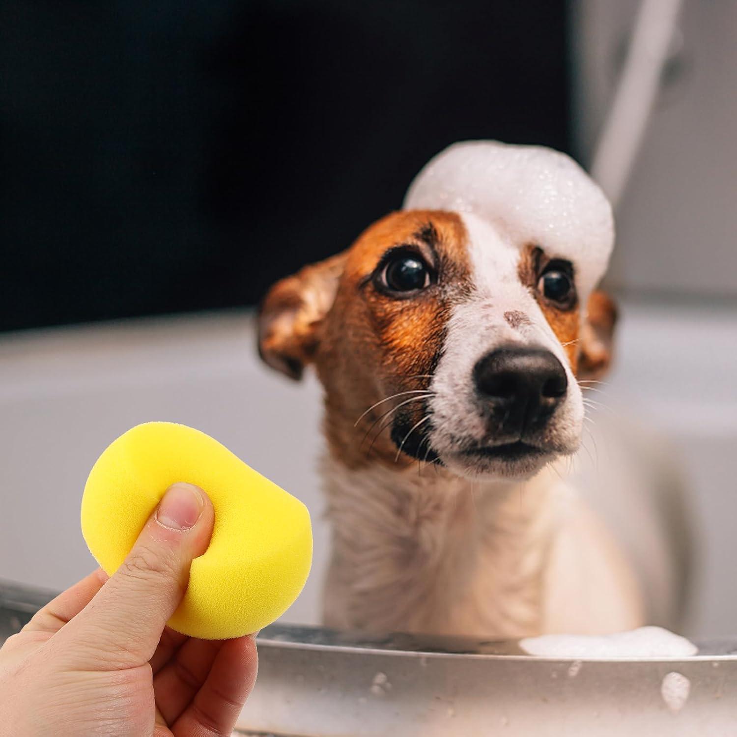 5 Esponjas de Baño para Mascotas Ipetboom Amarillo 7x7cm