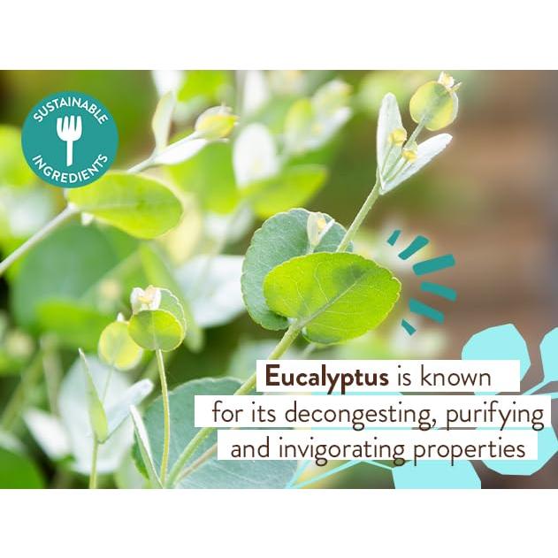 Babo Botanicals Baño de Burbuja y Champú Eucalipto 2-en-1 425g