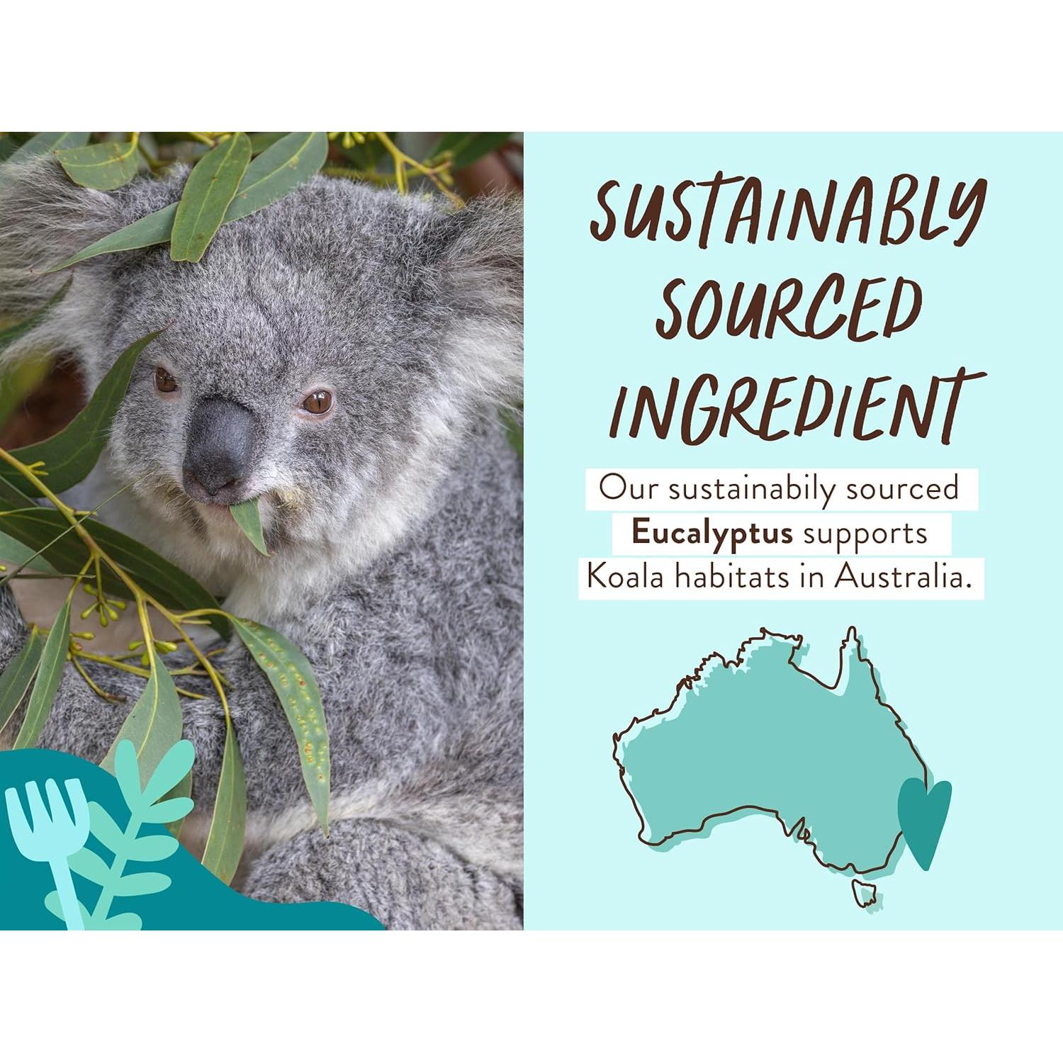 Babo Botanicals Baño de Burbuja y Champú Eucalipto 2-en-1 425g