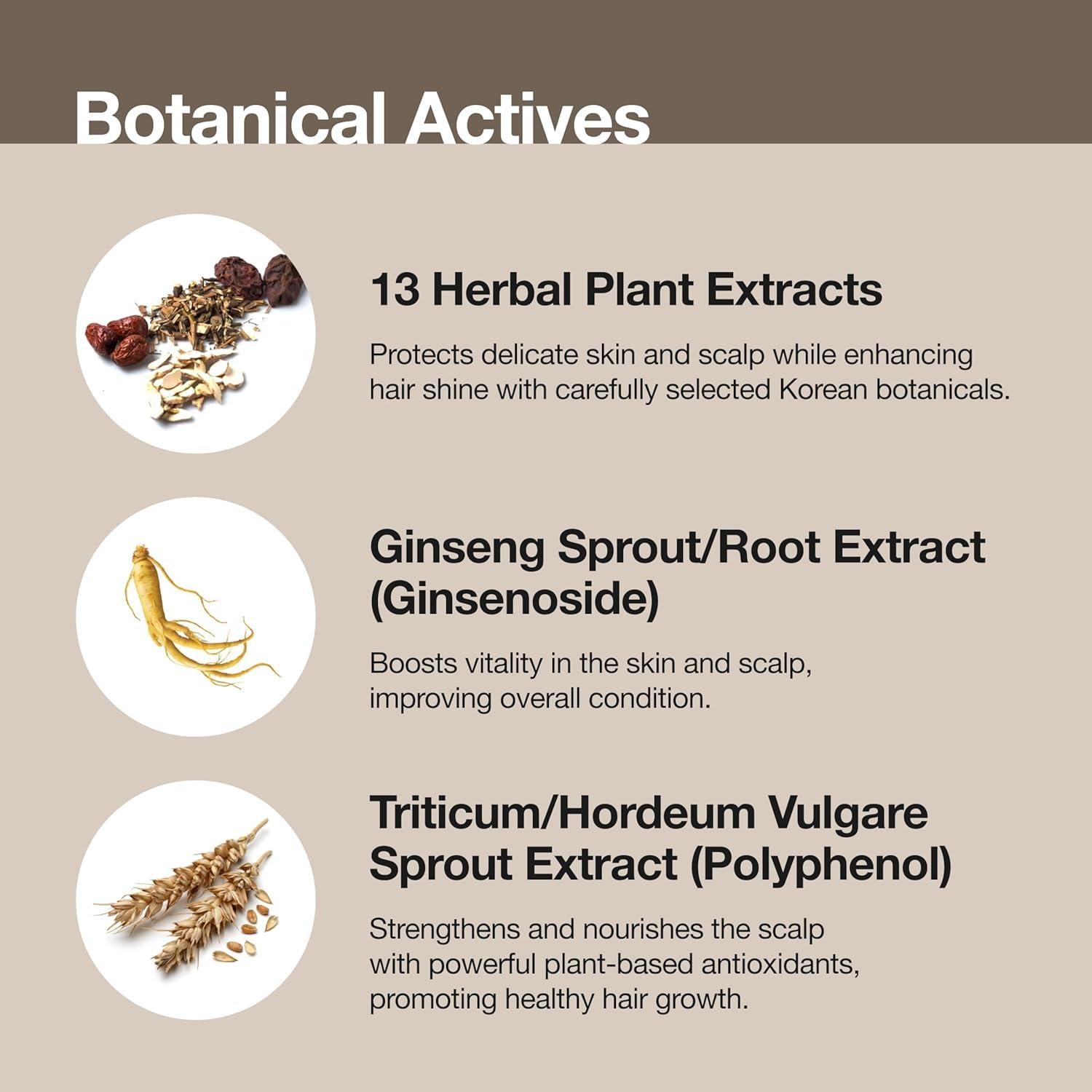 Champú y Gel de Baño Orgánico Coreano 2 en 1 para Bebés 320g