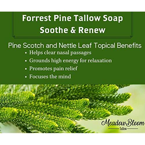 Jabón de Grasa Natural EST'D 2004 - Pino del Bosque 2 Paquete