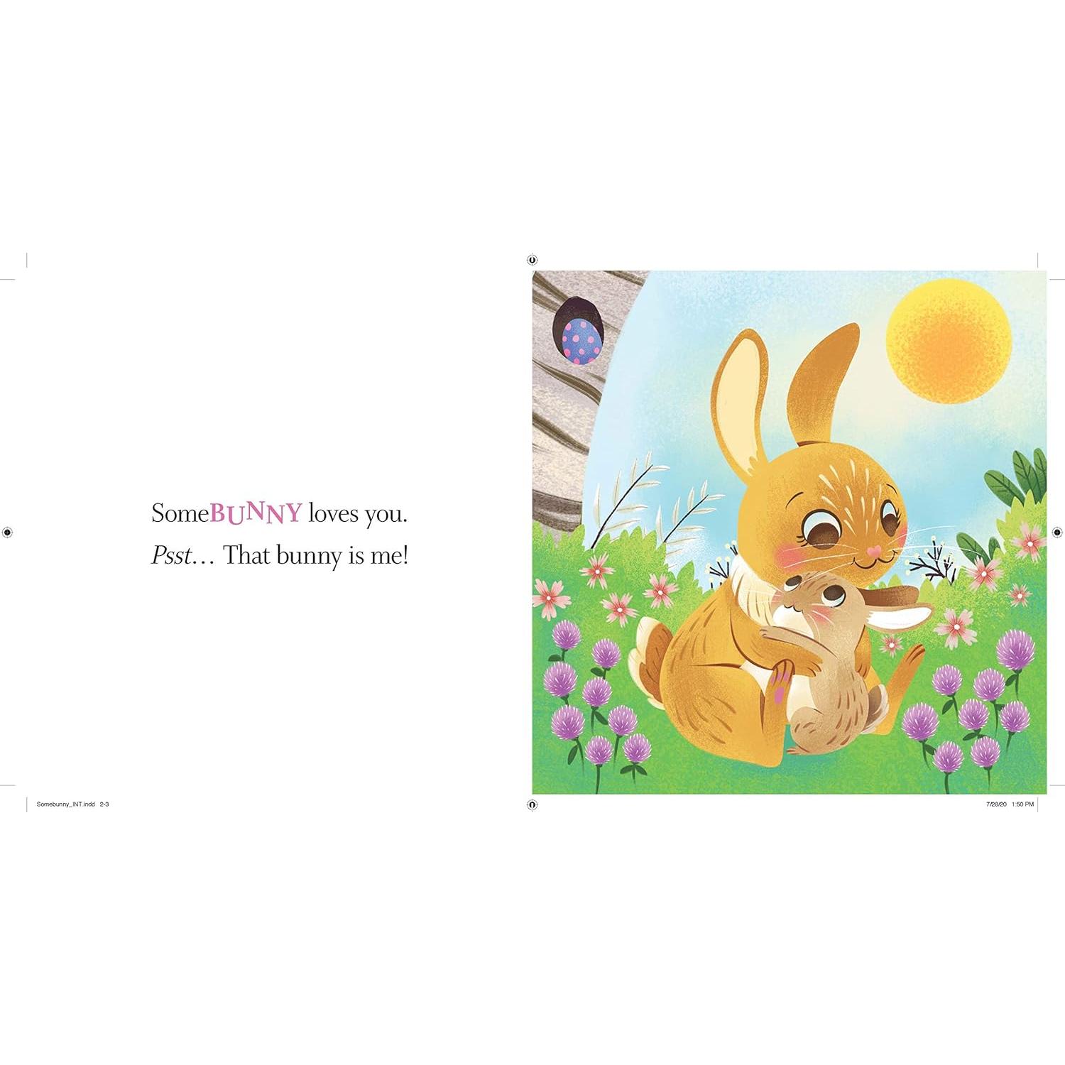 Somebunny Loves You: A Sweet and Silly Baby Animal Book for Toddlers (Punderland)