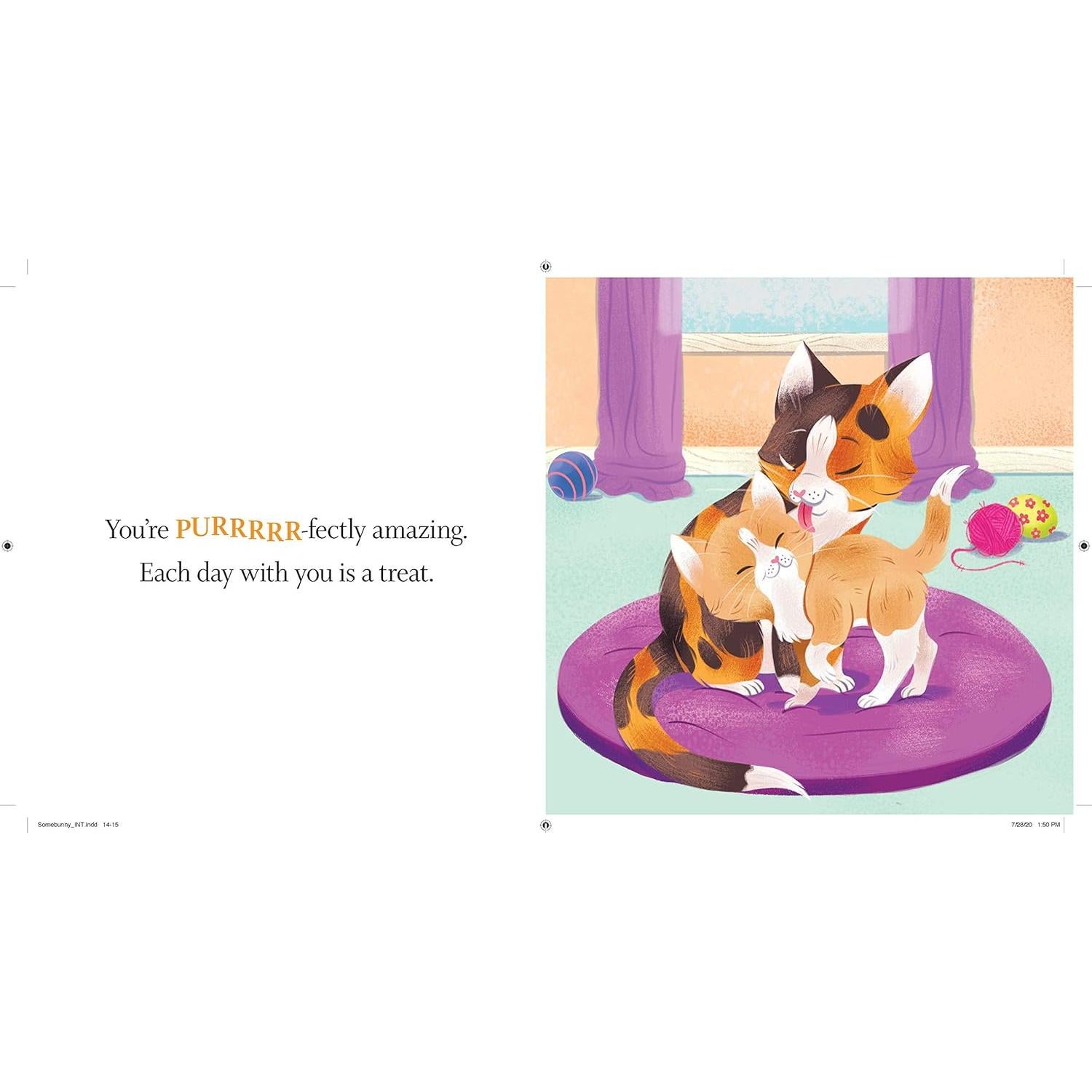 Somebunny Loves You: A Sweet and Silly Baby Animal Book for Toddlers (Punderland)