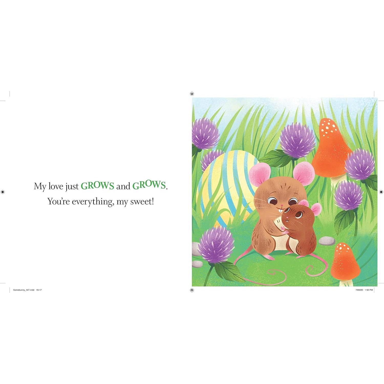 Somebunny Loves You: A Sweet and Silly Baby Animal Book for Toddlers (Punderland)