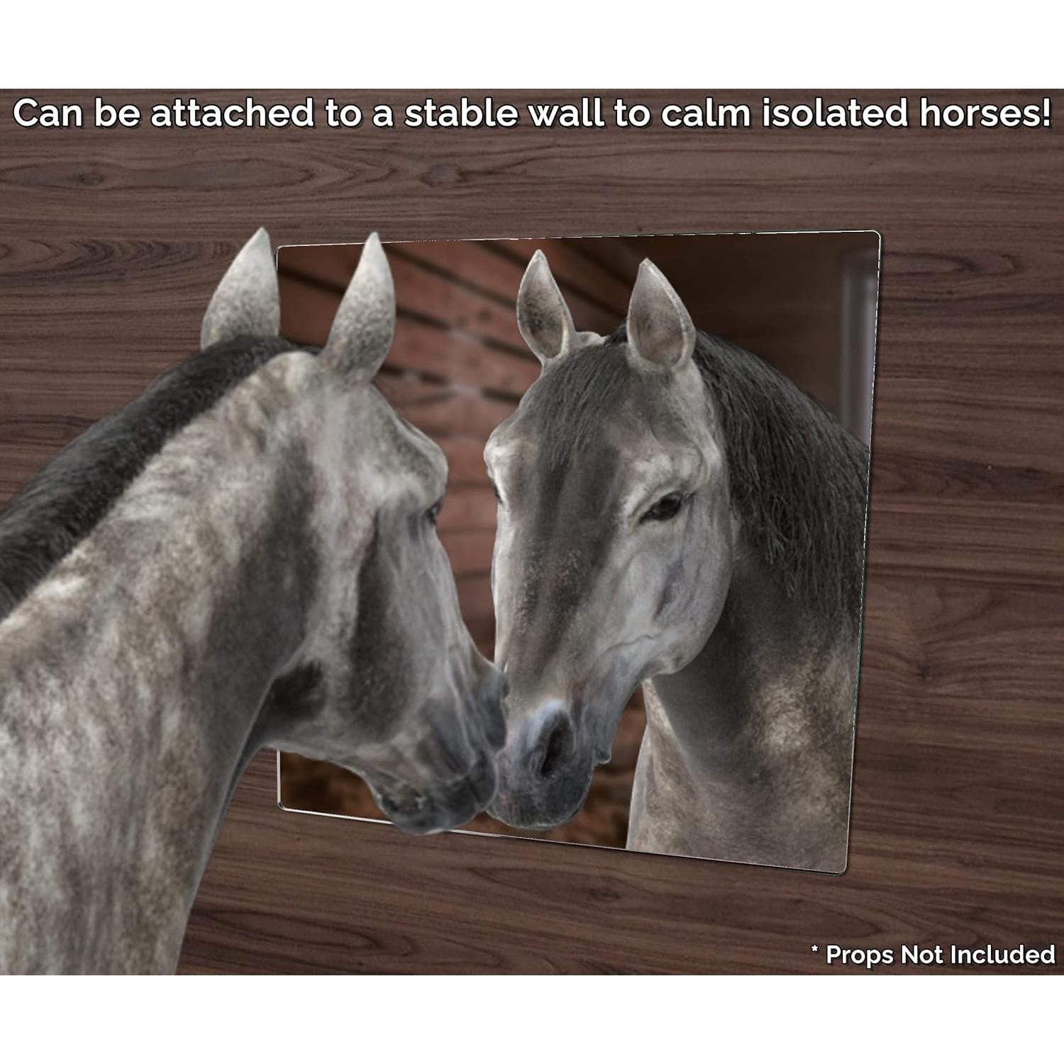 Espejo Acrílico Cuadrado 30.48 cm Marketing Holders con Imán