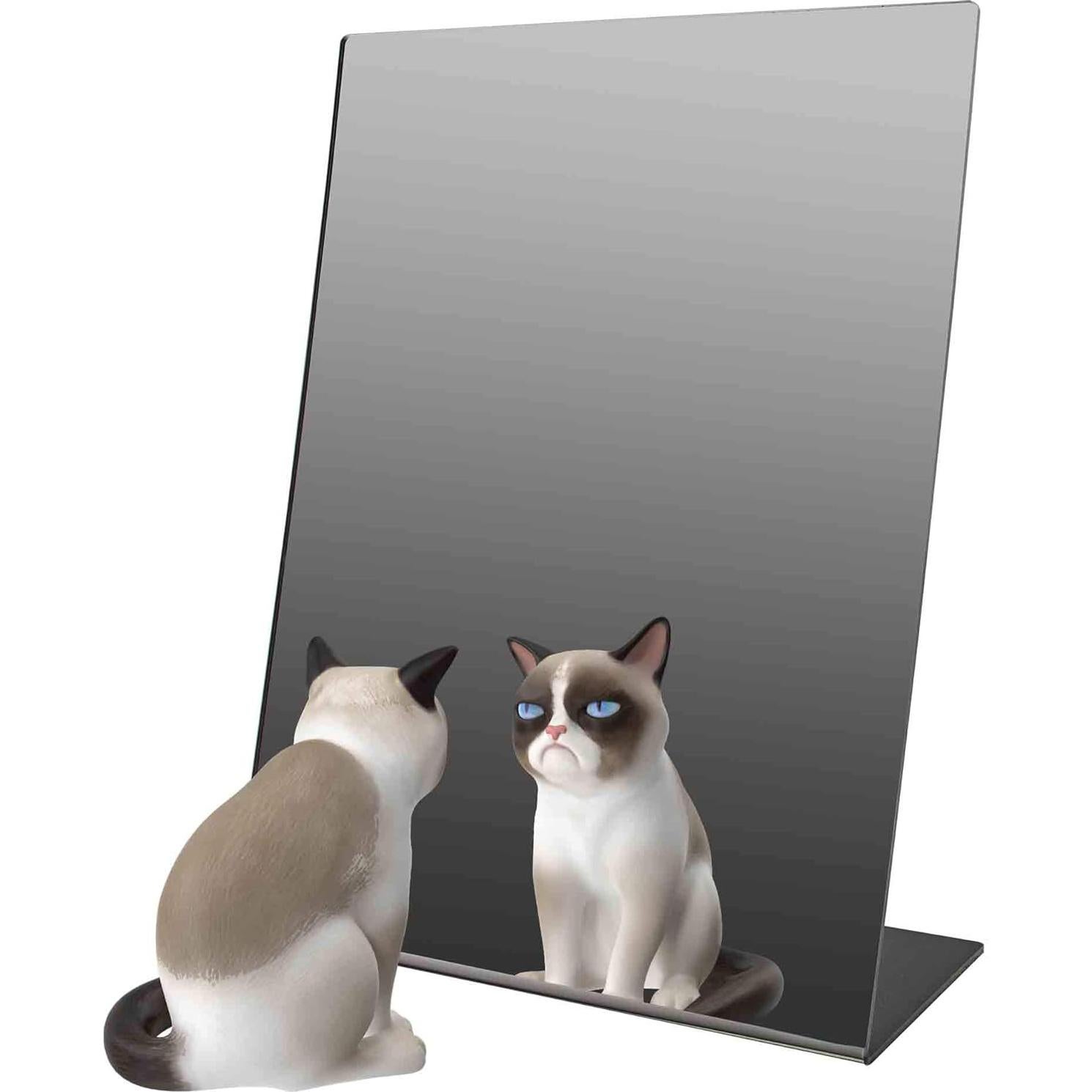 Espejo Acrílico de Caballete Inclinación 23x30.5 cm Marketing Holders