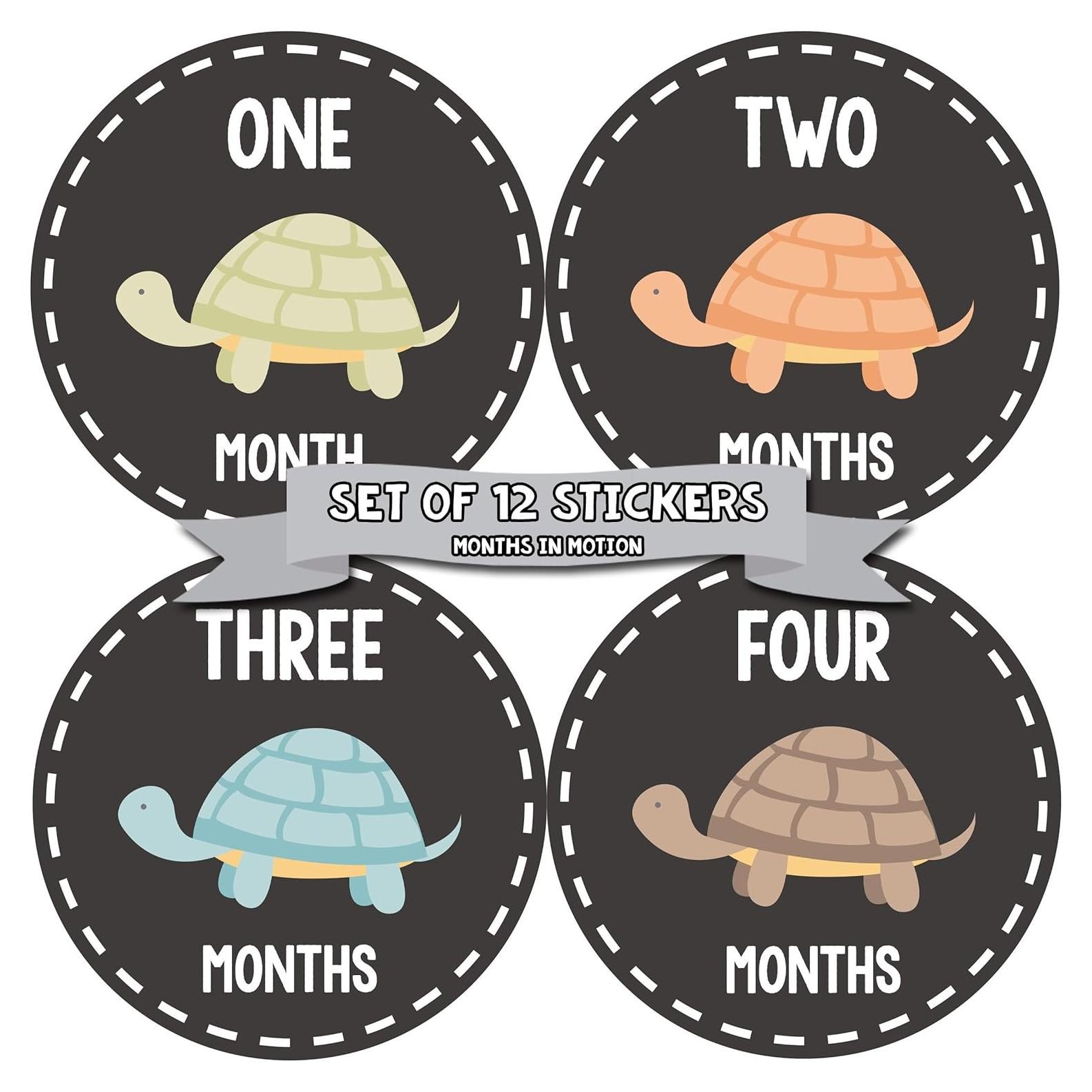 Pegatinas de Hito Mensual Bebé Months In Motion Tortugas