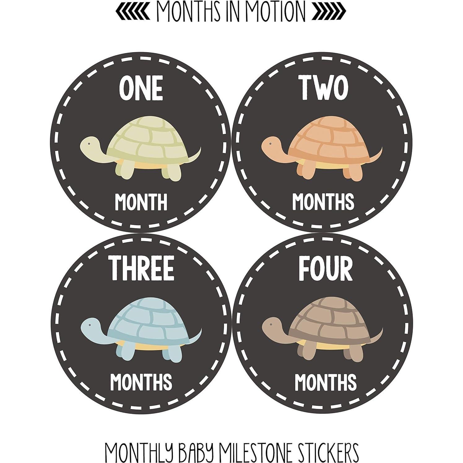 Pegatinas de Hito Mensual Bebé Months In Motion Tortugas