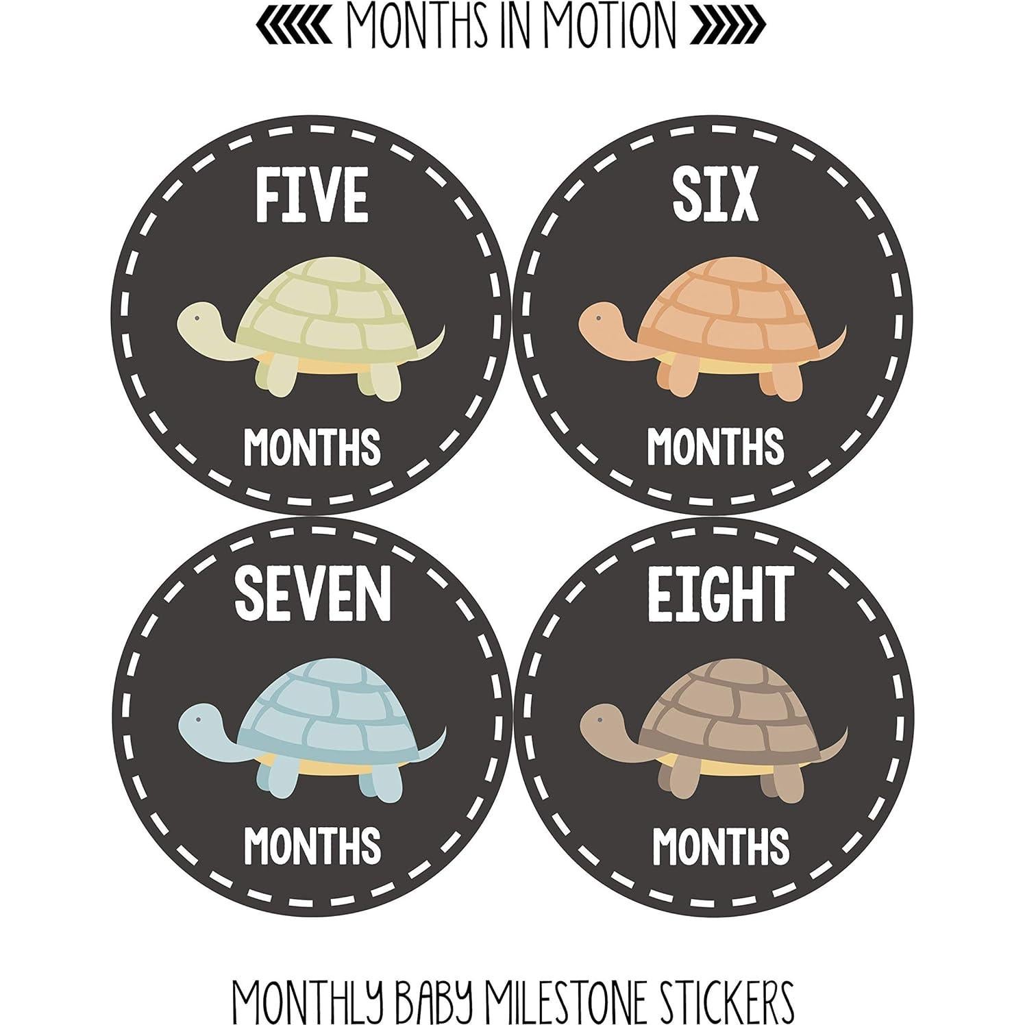 Pegatinas de Hito Mensual Bebé Months In Motion Tortugas