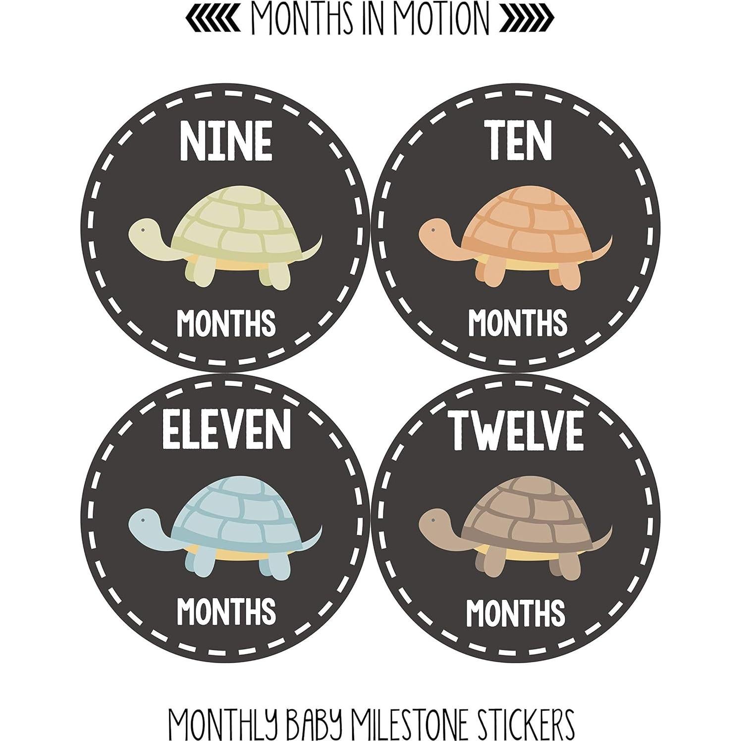 Pegatinas de Hito Mensual Bebé Months In Motion Tortugas