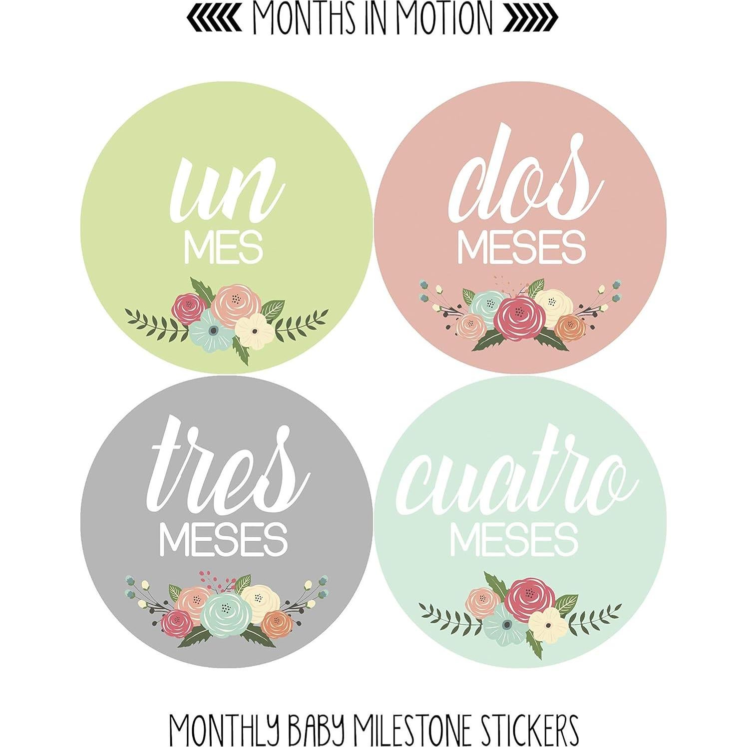 Pegatinas Mensuales para Bebés - Meses en Movimiento 12 Piezas