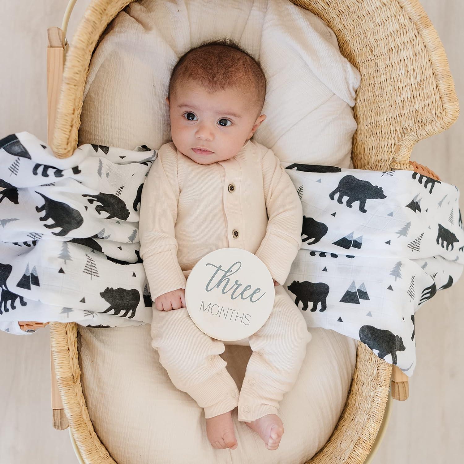 Discos de Hitos de Madera Natural - 13 Tarjetas para Bebés