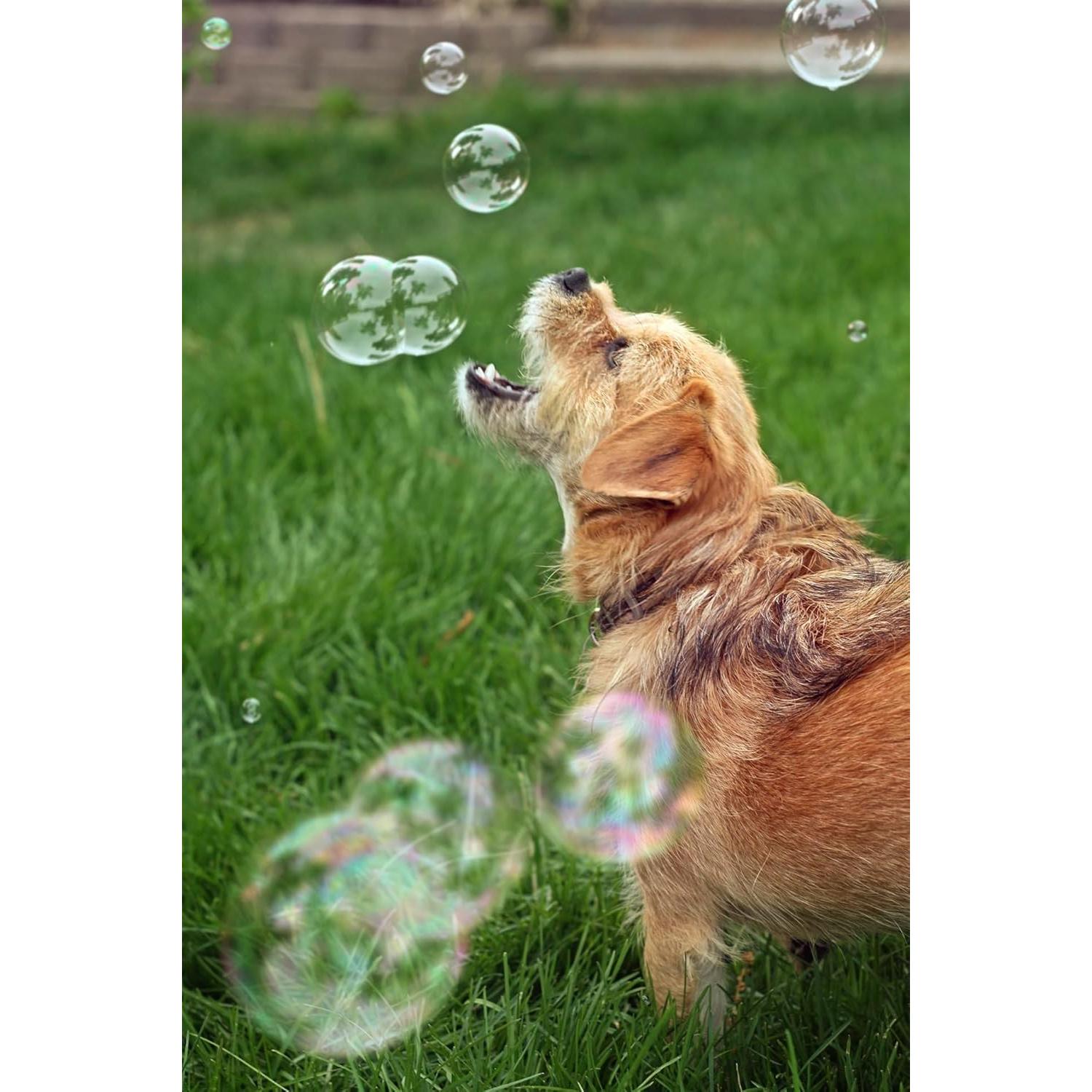 Jabón Burbujeante para Perros Burbujeante 280g Aroma Mantequilla