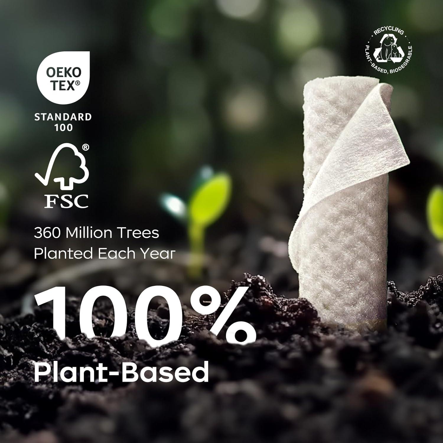 Toallitas Húmedas para Bebés Bc Babycare Cloud XL, 240 Unidades