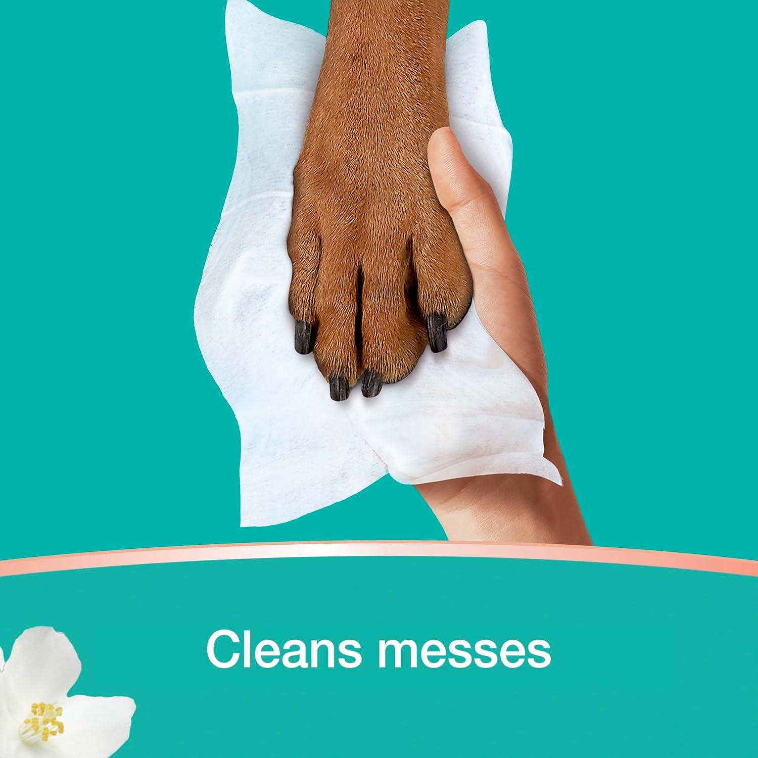 Toallitas Pampers Limpias y Calmadas 672 Unidades Aroma Algodón