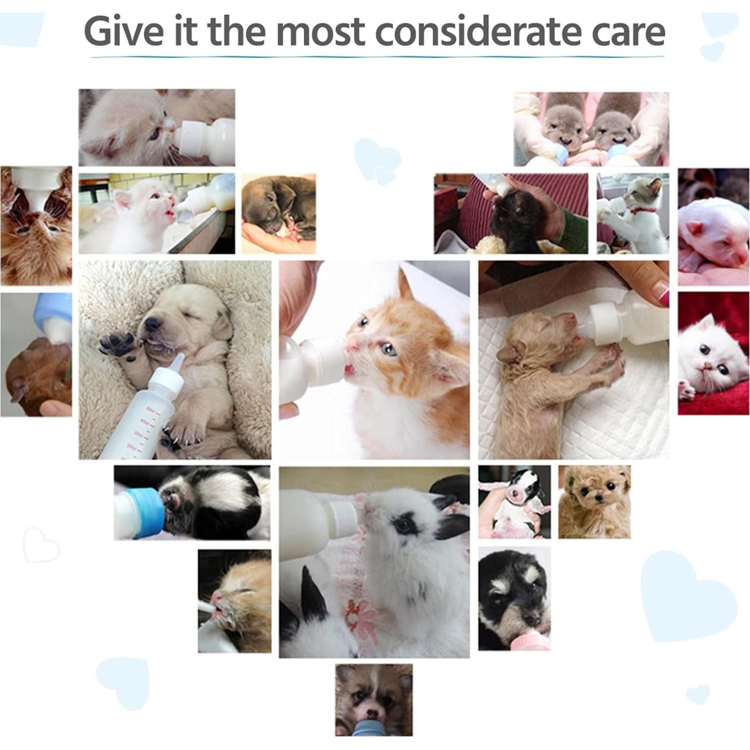 Botella de Alimentación para Cachorros y Gatitos 60ml LAOMA