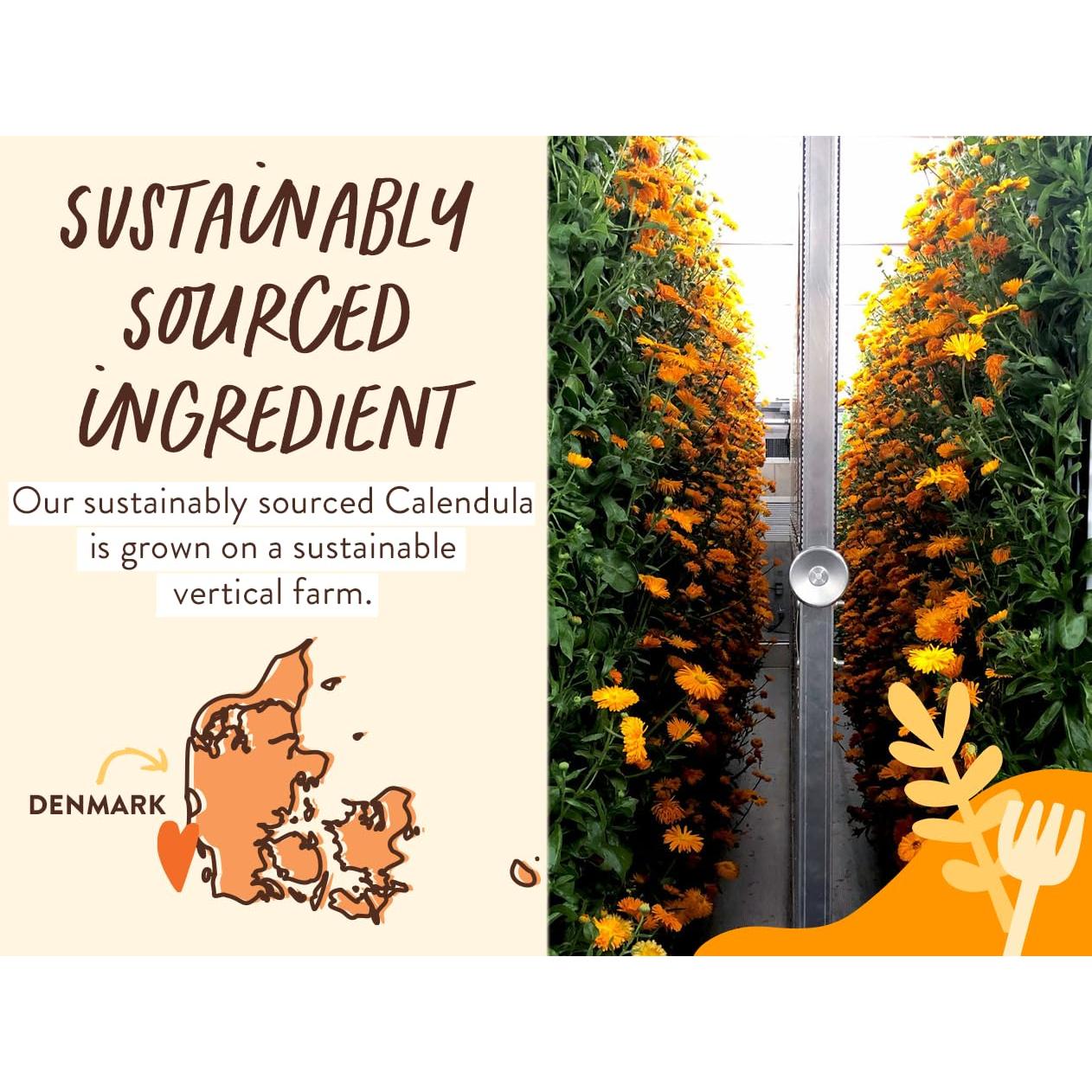 Champú y Lavado Hidratante Babo Botanicals 473 ml - Vegano