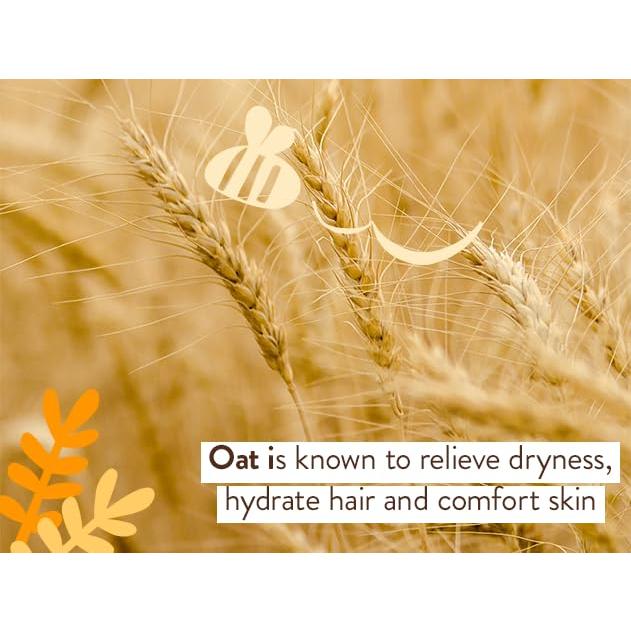 Champú y Lavado Hidratante Babo Botanicals 473 ml - Vegano