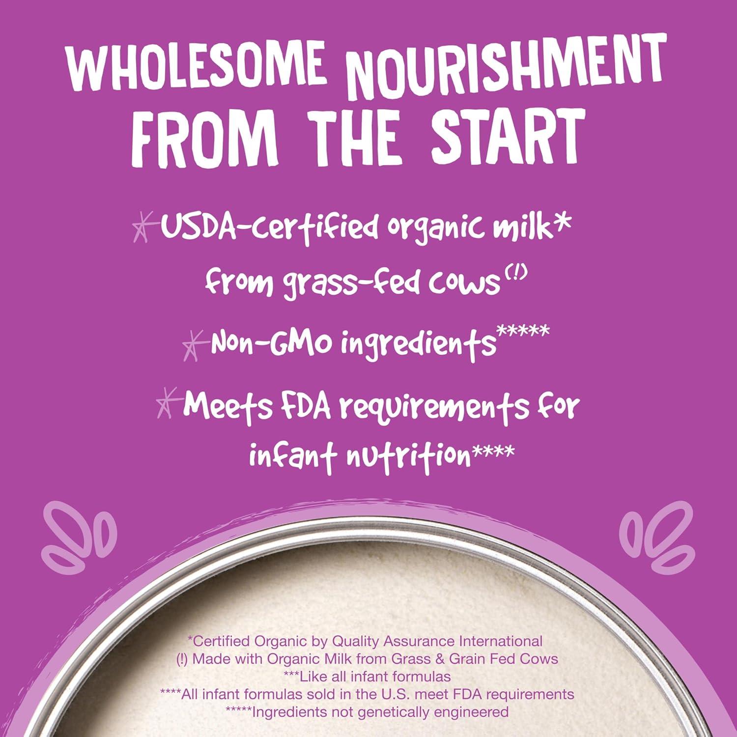 Fórmula Infantil Orgánica Earth's Best 907g Lactosa Reducida